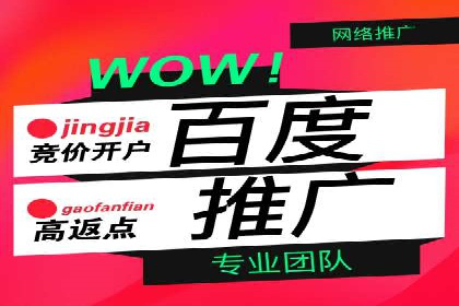 SEM专员必备技能与实战案例分享